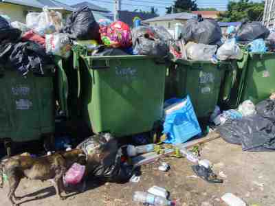 Sustainable Practices in the Trash Cleaning Industry